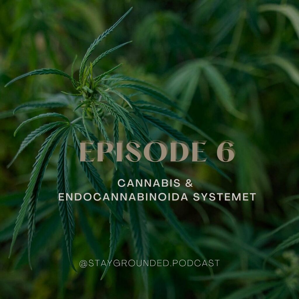 sofie_kraft_ endocannabinoida systemet och cannabis